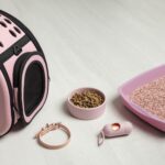 kaj potrebujem za mačko