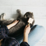 Ali moramo mačke sploh česati?