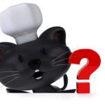 Kviz: Katera pasma mačke si?