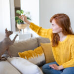 Ali lahko mačko naučimo trikov?